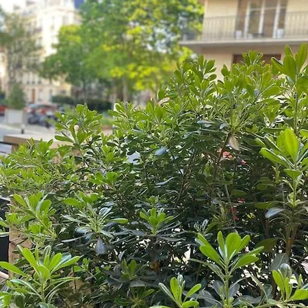 Jolie Studette Equipee Sur Jardin, St Mande Bois *